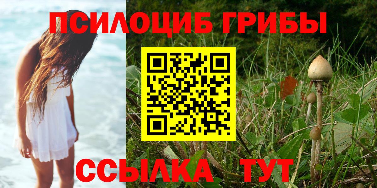 Солнечногорск  Псилоцибиновые грибы GOLDEN TEACHER  Вход с VPN  Галлюциногенные грибы Psilocybe 