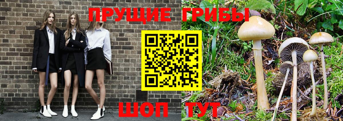 Галлюциногенные грибы GOLDEN TEACHER Солнечногорск